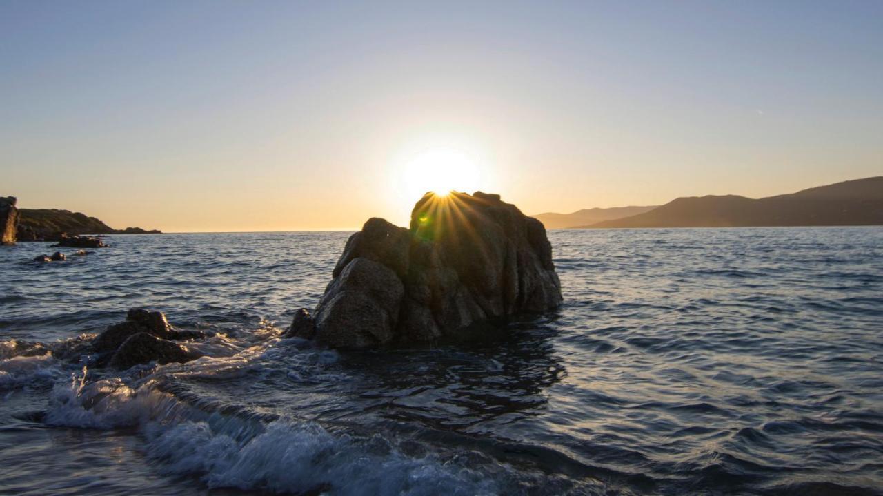 Propriano Proche Port Et Mer Oda fotoğraf